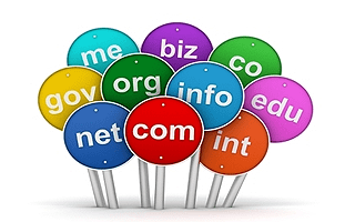 domain hosting