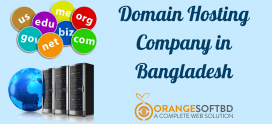 Domain Hosting Company in Bangladesh