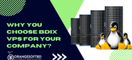 Why You Choose BDIX VPS For Your Company