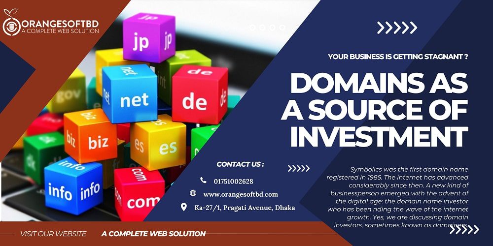Domains As A Source of Investment