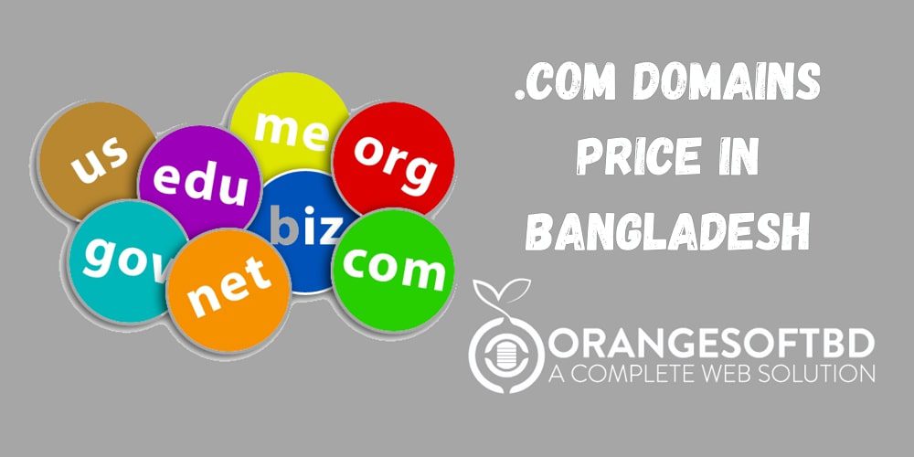 .Com Domain Price in BD