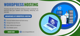 How to Choose the Best WordPress Hosting Provider for Your Business