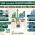 .bd Domain vs .com.bd Difference: What Every Bangladeshi Business Owner Should Know